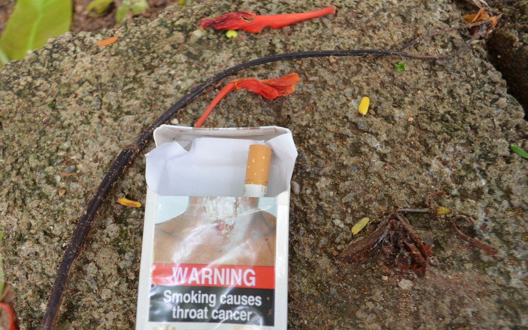 Beware! More tobacco means less human development